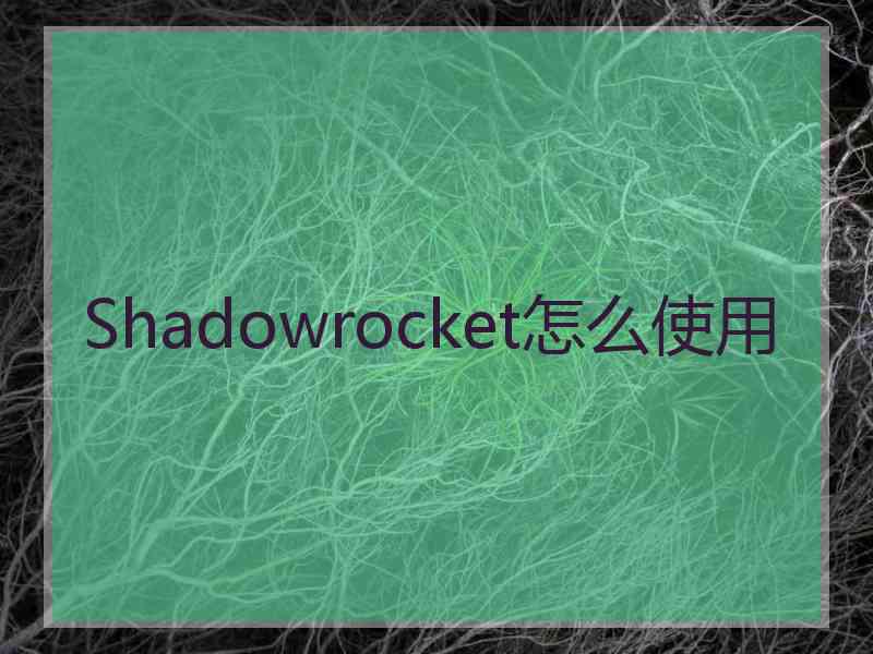 Shadowrocket怎么使用