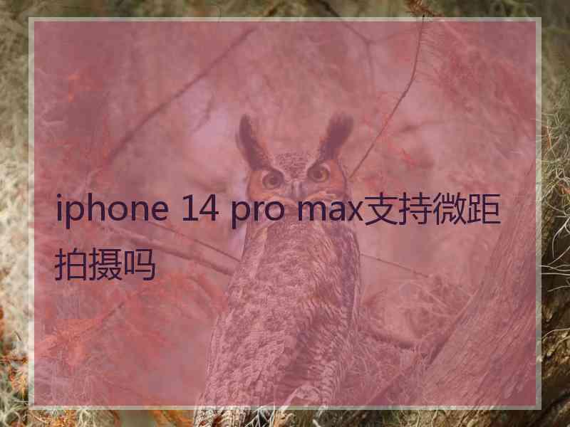 iphone 14 pro max支持微距拍摄吗