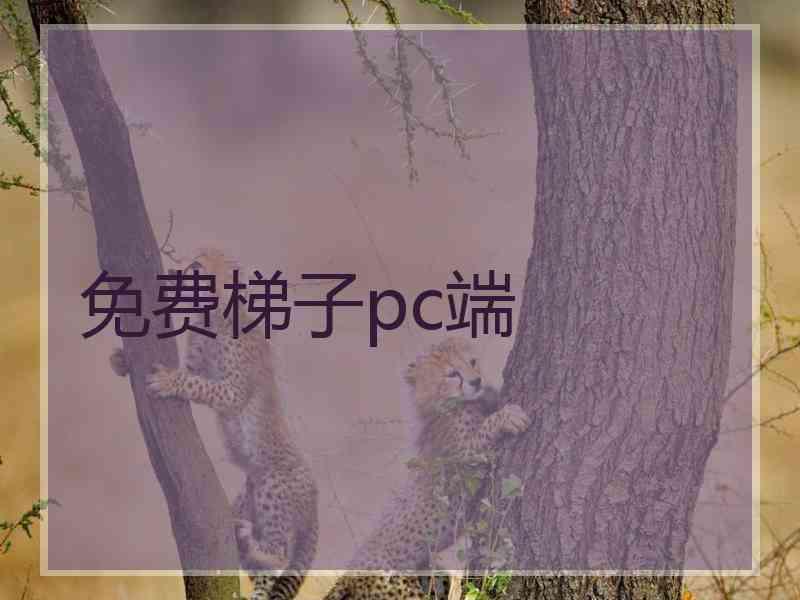 免费梯子pc端