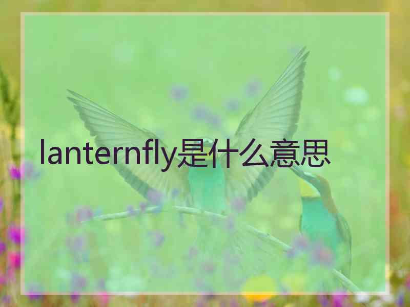 lanternfly是什么意思