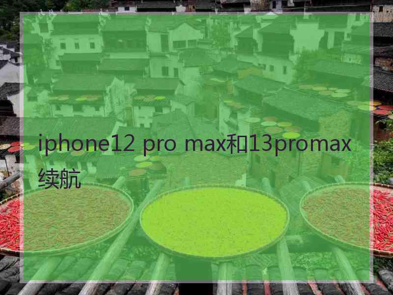 iphone12 pro max和13promax续航