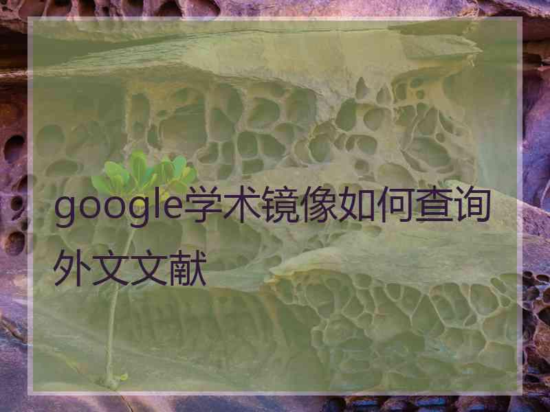 google学术镜像如何查询外文文献