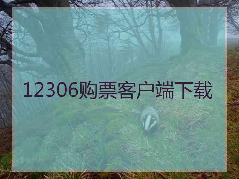 12306购票客户端下载