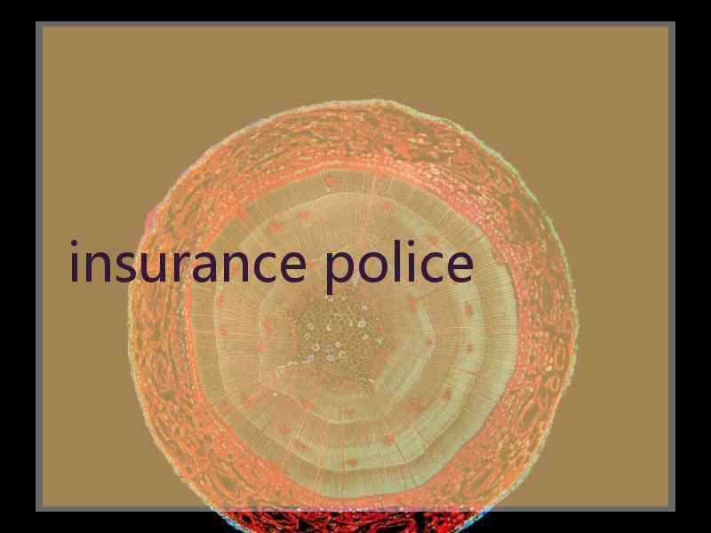 insurance police