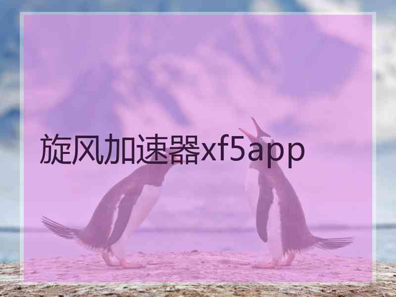 旋风加速器xf5app