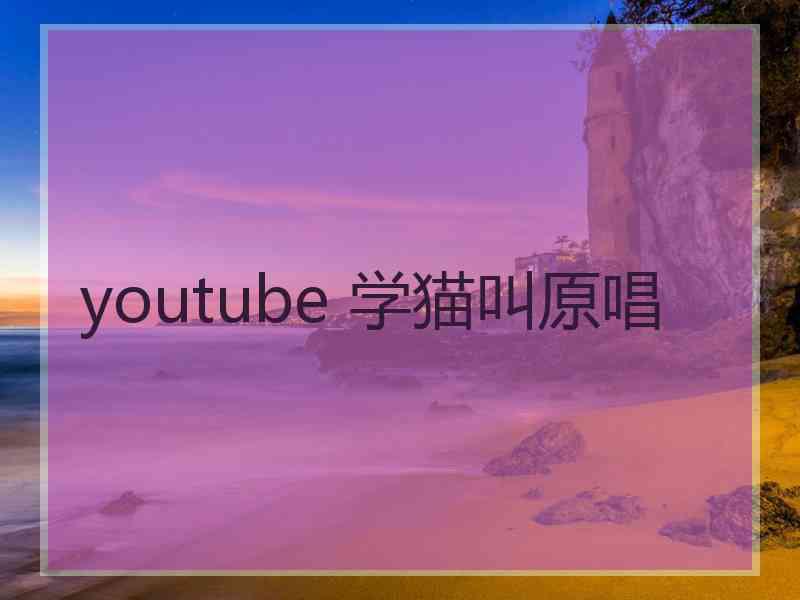 youtube 学猫叫原唱