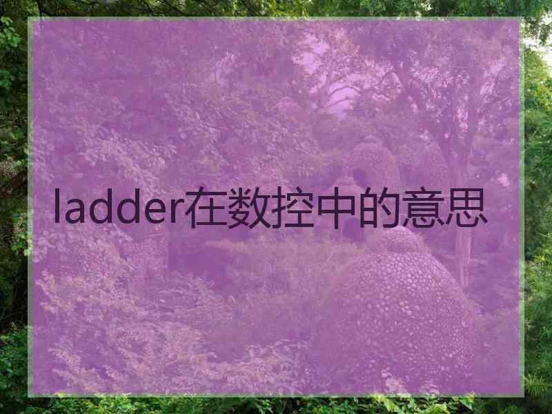 ladder在数控中的意思