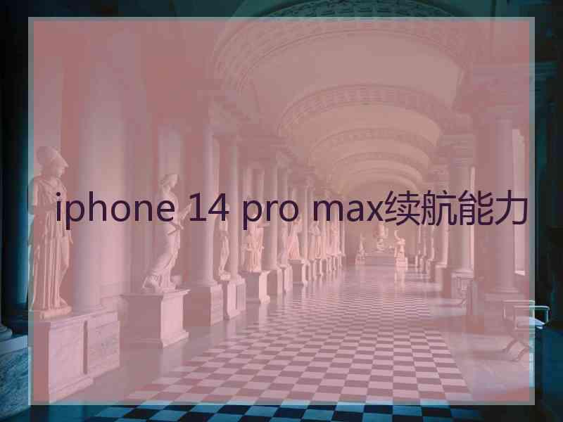 iphone 14 pro max续航能力