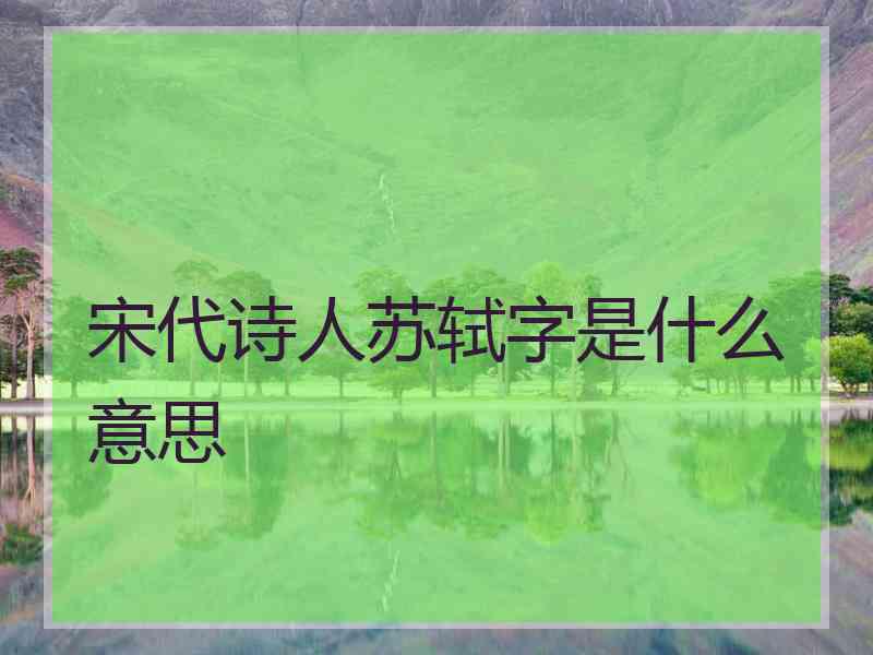 宋代诗人苏轼字是什么意思