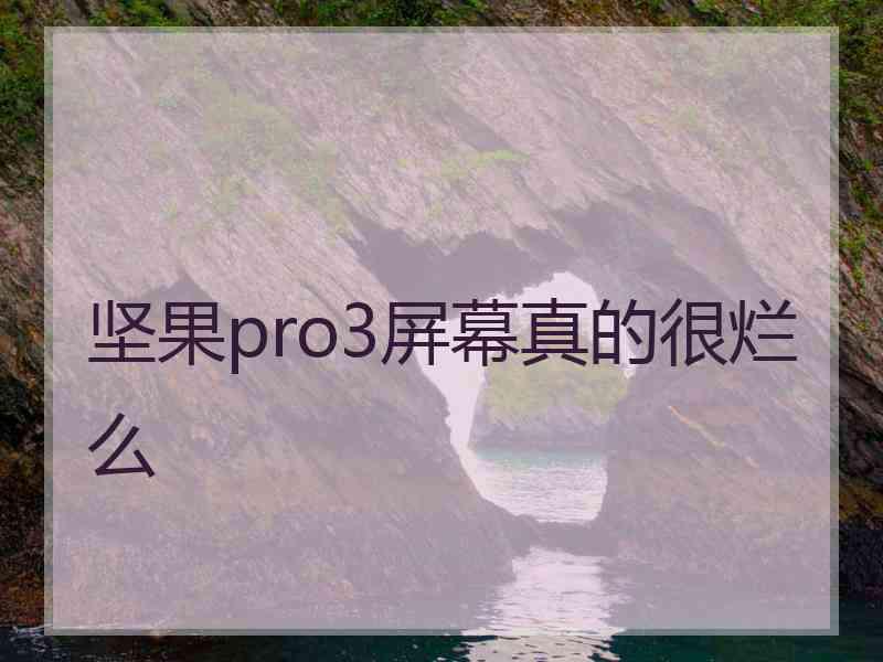 坚果pro3屏幕真的很烂么