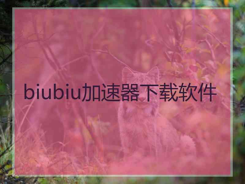 biubiu加速器下载软件