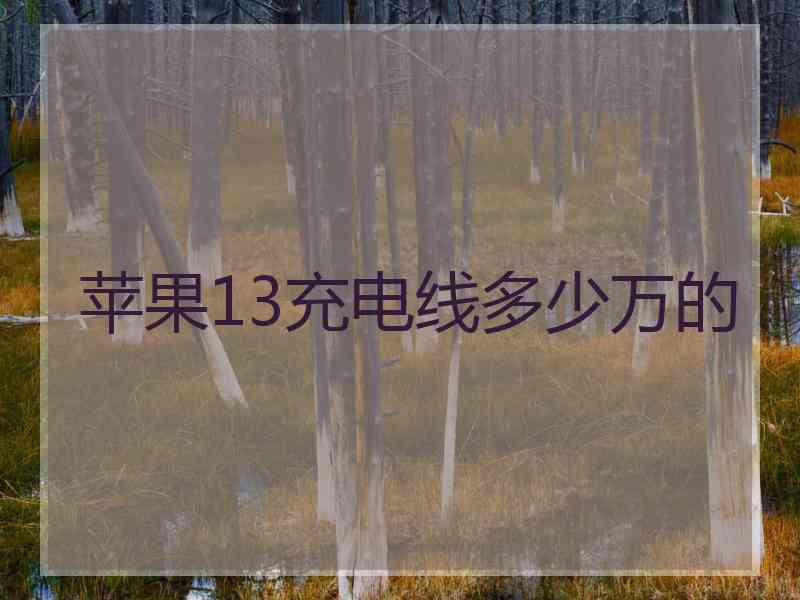 苹果13充电线多少万的