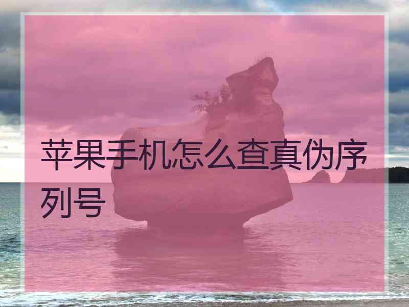 苹果手机怎么查真伪序列号