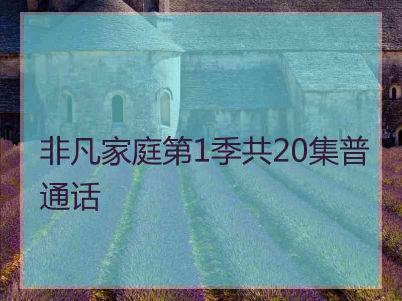 非凡家庭第1季共20集普通话