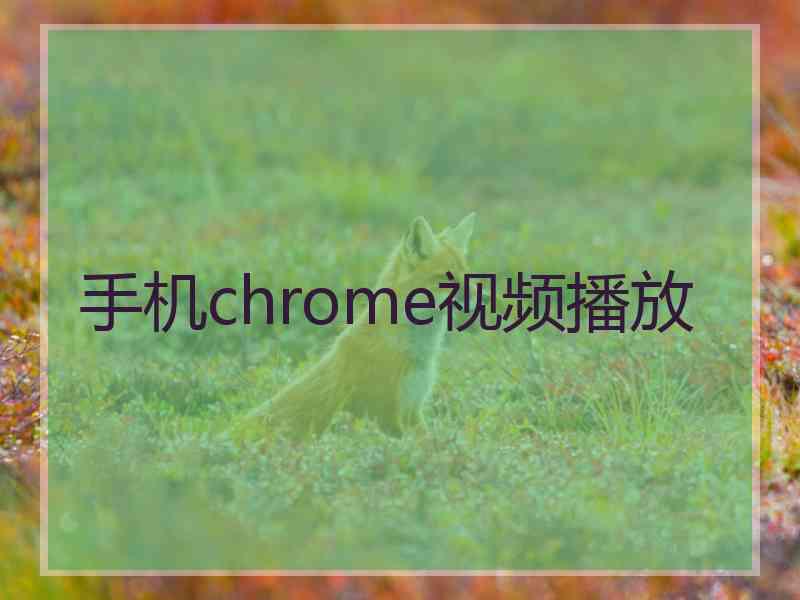 手机chrome视频播放