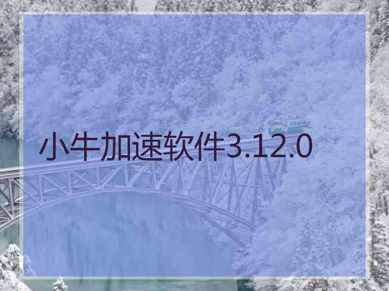 小牛加速软件3.12.0