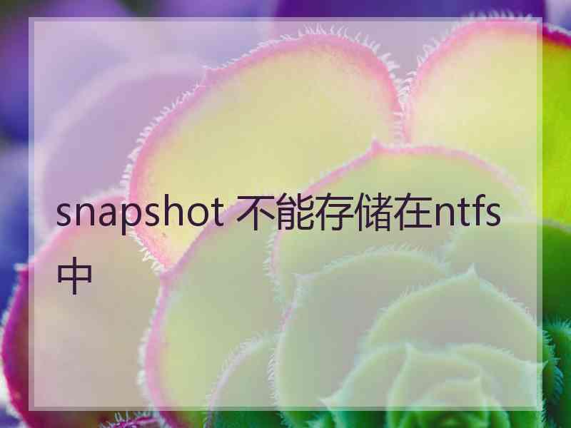 snapshot 不能存储在ntfs中