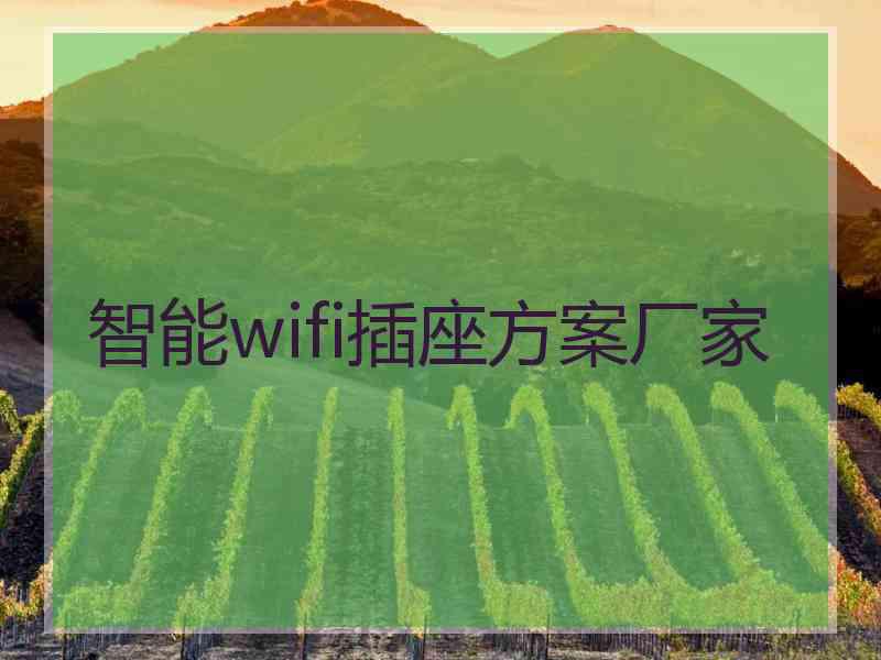 智能wifi插座方案厂家