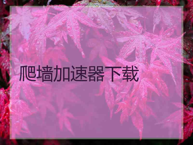 爬墙加速器下载