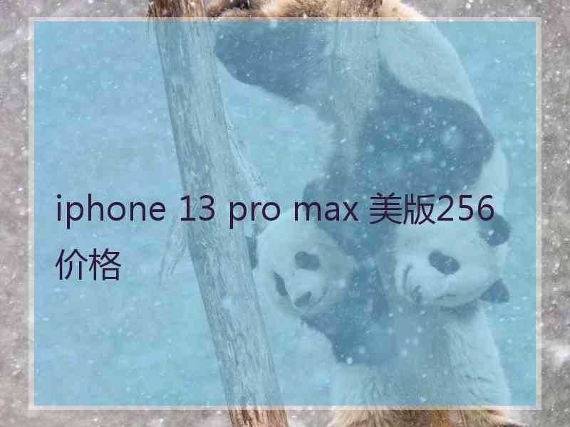 iphone 13 pro max 美版256价格