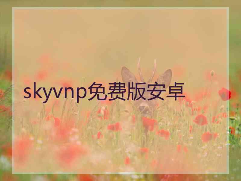 skyvnp免费版安卓