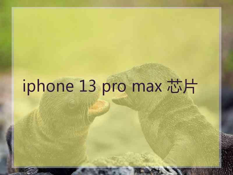 iphone 13 pro max 芯片