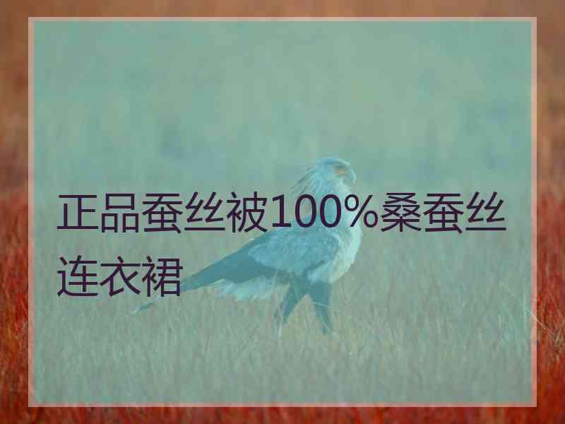 正品蚕丝被100%桑蚕丝连衣裙