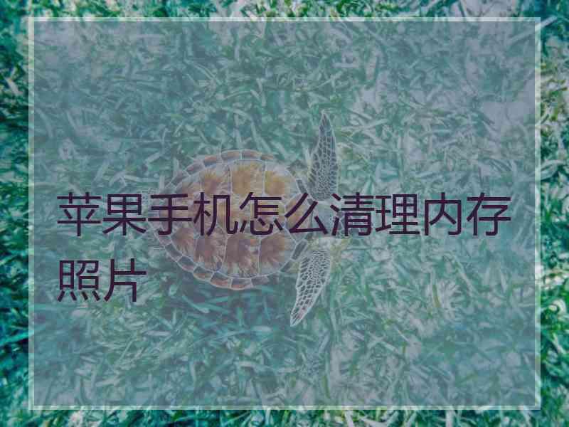 苹果手机怎么清理内存照片