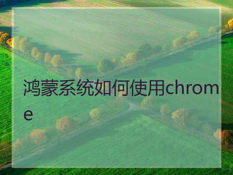 鸿蒙系统如何使用chrome