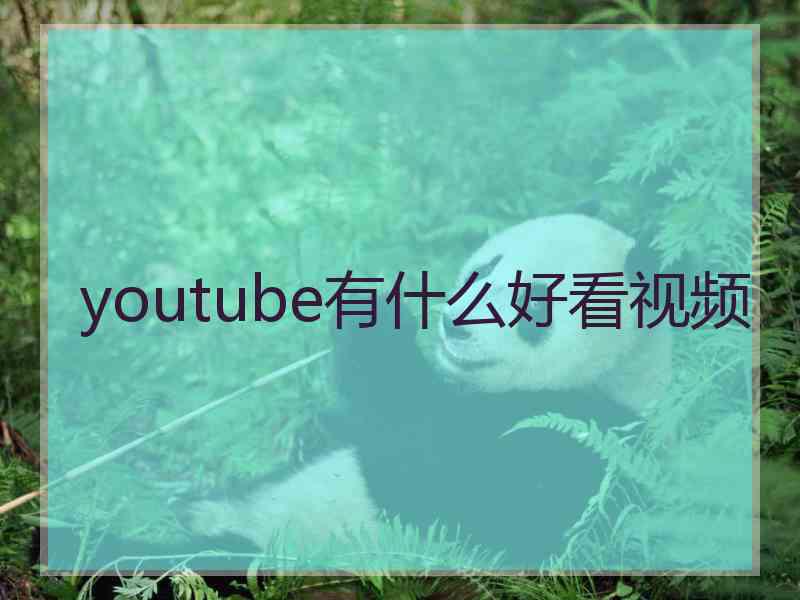 youtube有什么好看视频