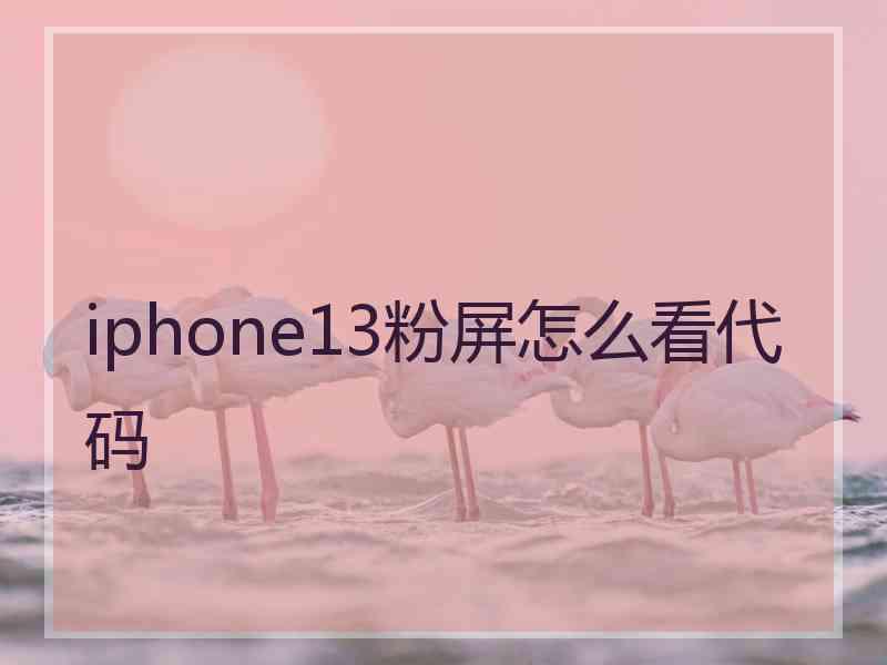 iphone13粉屏怎么看代码