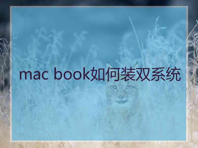 mac book如何装双系统