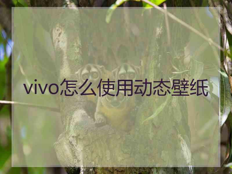 vivo怎么使用动态壁纸