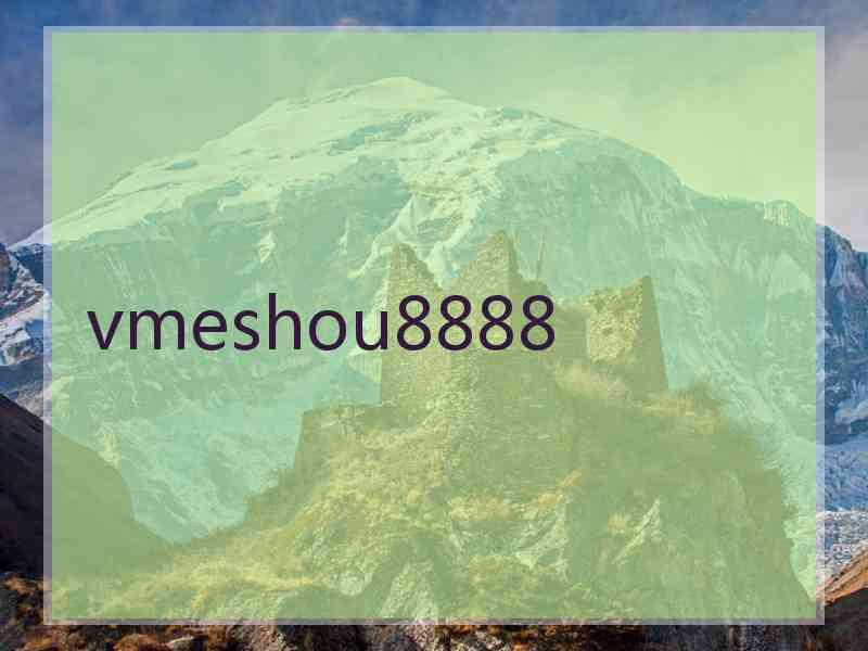 vmeshou8888