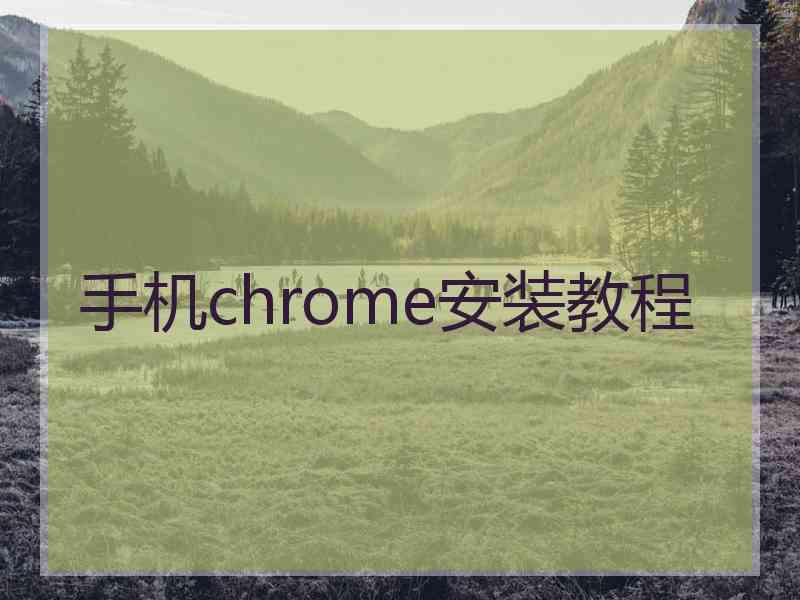 手机chrome安装教程