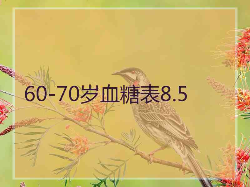 60-70岁血糖表8.5