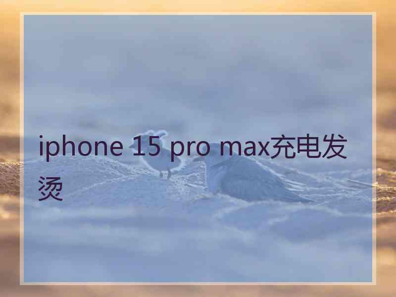 iphone 15 pro max充电发烫