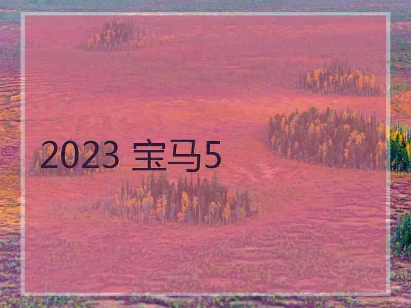 2023 宝马5