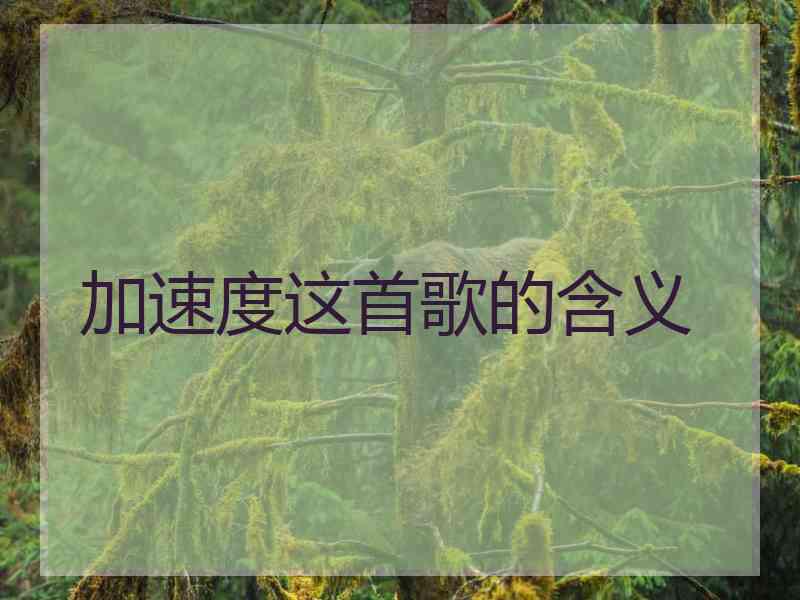 加速度这首歌的含义