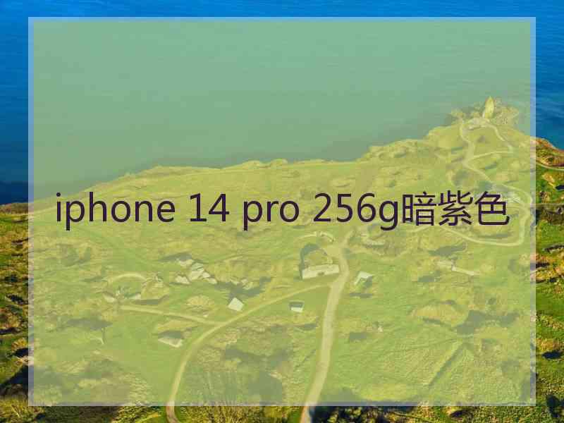 iphone 14 pro 256g暗紫色