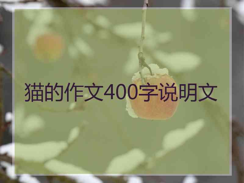 猫的作文400字说明文