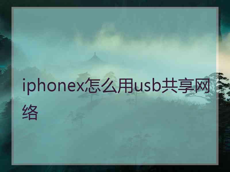 iphonex怎么用usb共享网络