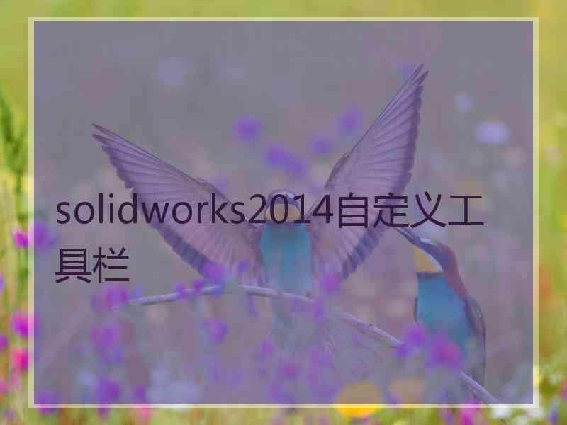 solidworks2014自定义工具栏