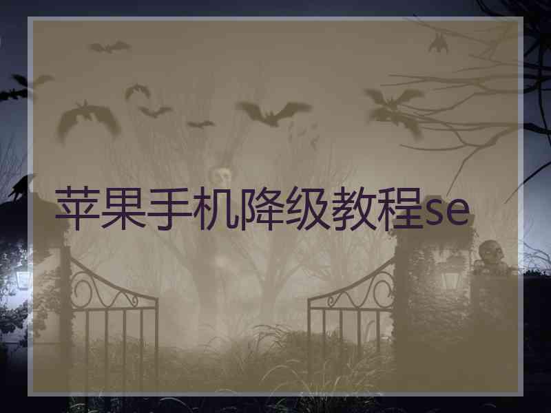 苹果手机降级教程se