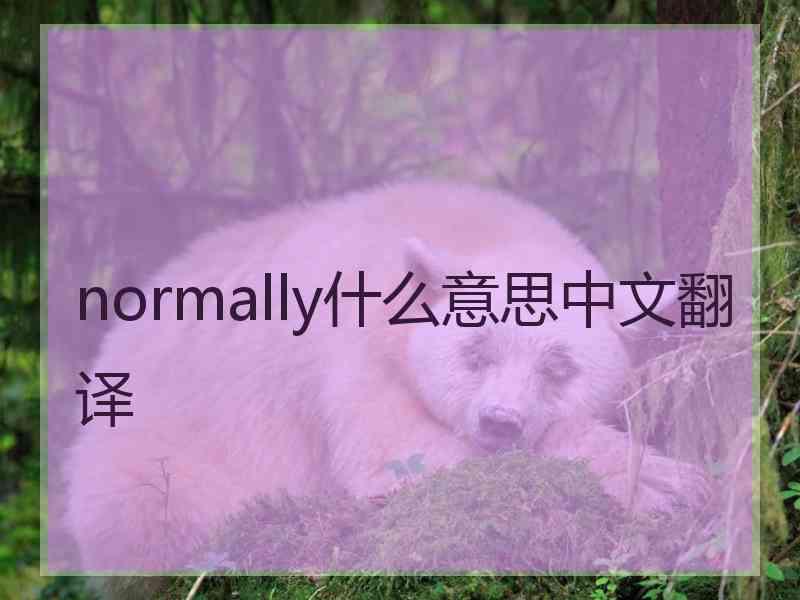 normally什么意思中文翻译