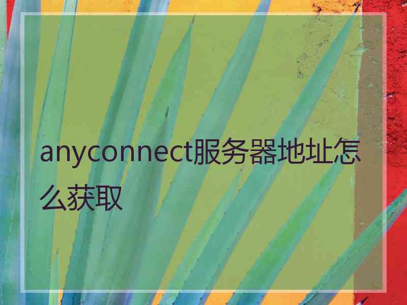 anyconnect服务器地址怎么获取