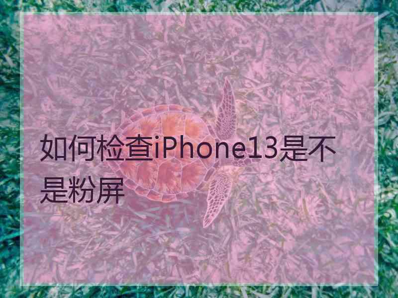 如何检查iPhone13是不是粉屏