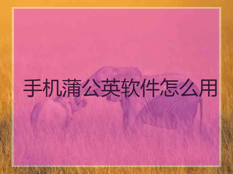 手机蒲公英软件怎么用