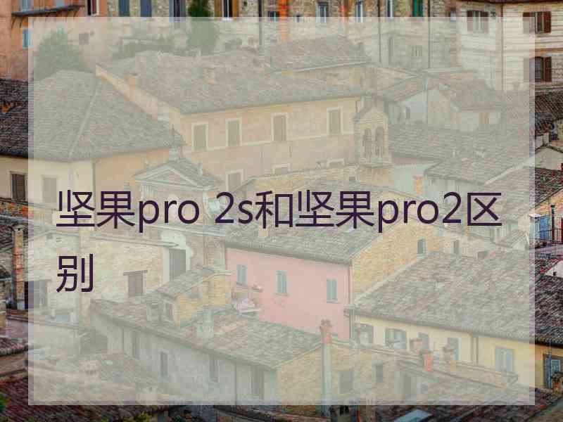 坚果pro 2s和坚果pro2区别