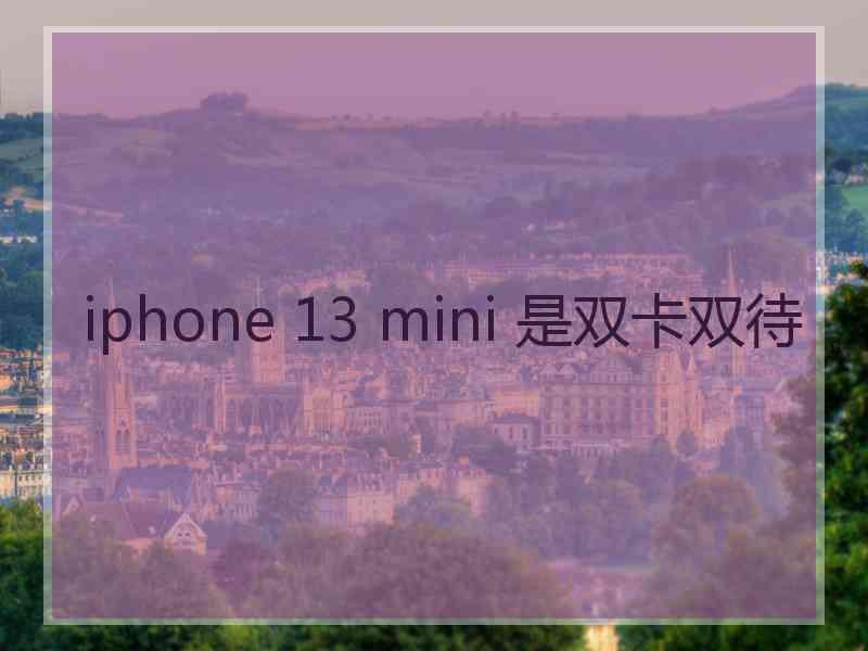 iphone 13 mini 是双卡双待